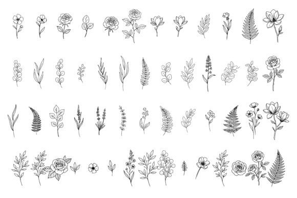 The Timeless Charm of Elegant Botanical Line Art